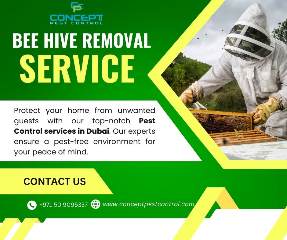 Bee Hive Removal Dubai